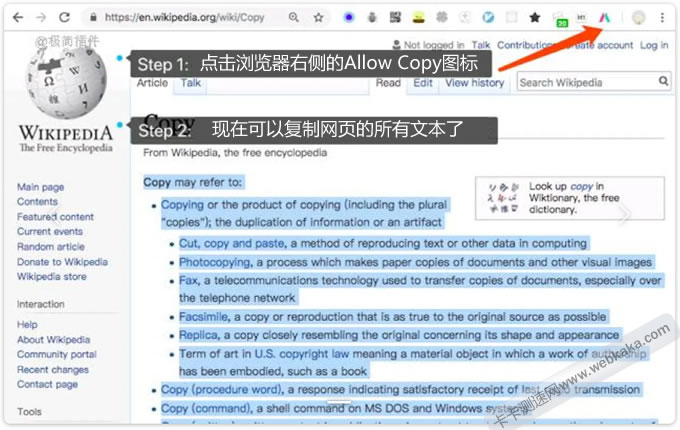 Chrome浏览器使用Allow Copy